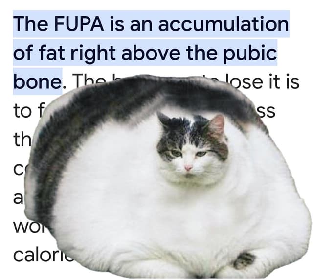 We are literally accumulating $FUPA