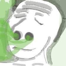 Looking for a top tier meme ARTIST

Mainly still images is fine 

Pls reach out to be paid