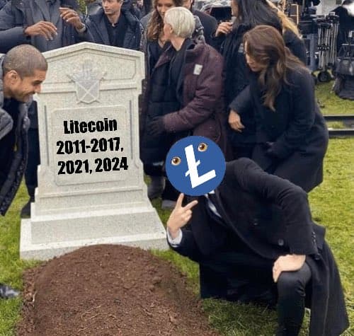 One team. One dream. Flip Litecoin. 

$LESTER #JusticeForLester